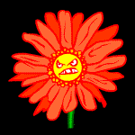 grumpy daisy