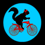bike squirrel